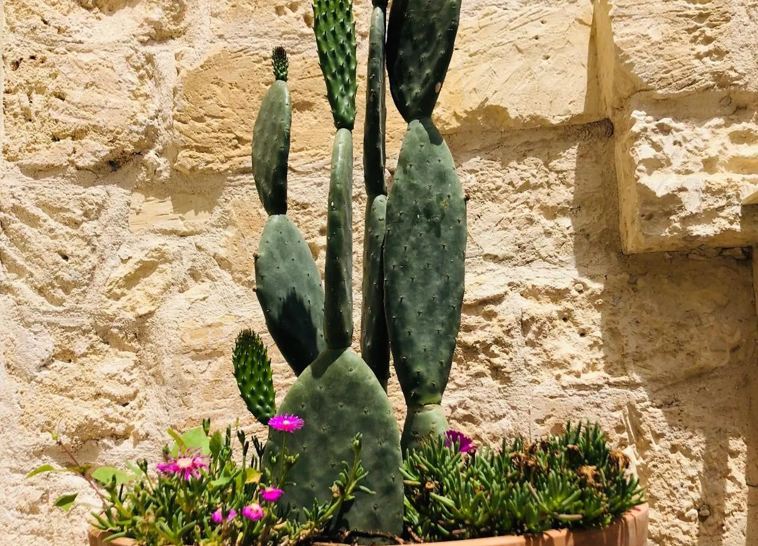 Luleccio Aparthotel Lecce Italy