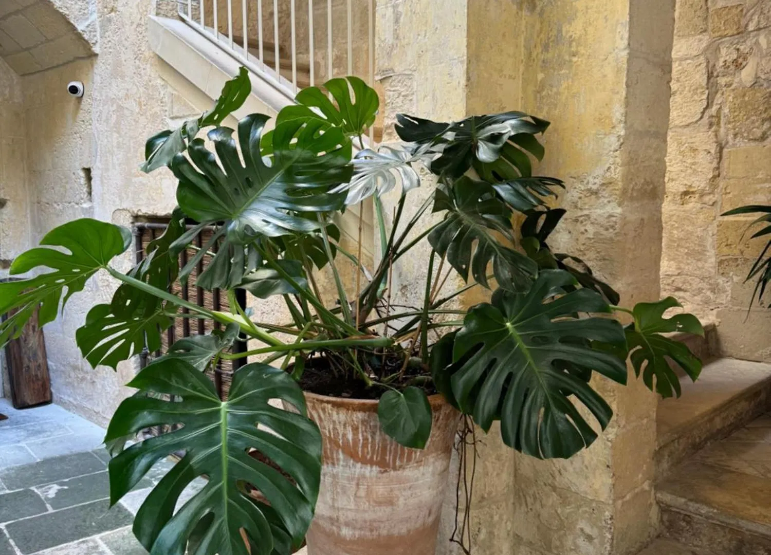 Luleccio Aparthotel Lecce 0*,  Italy